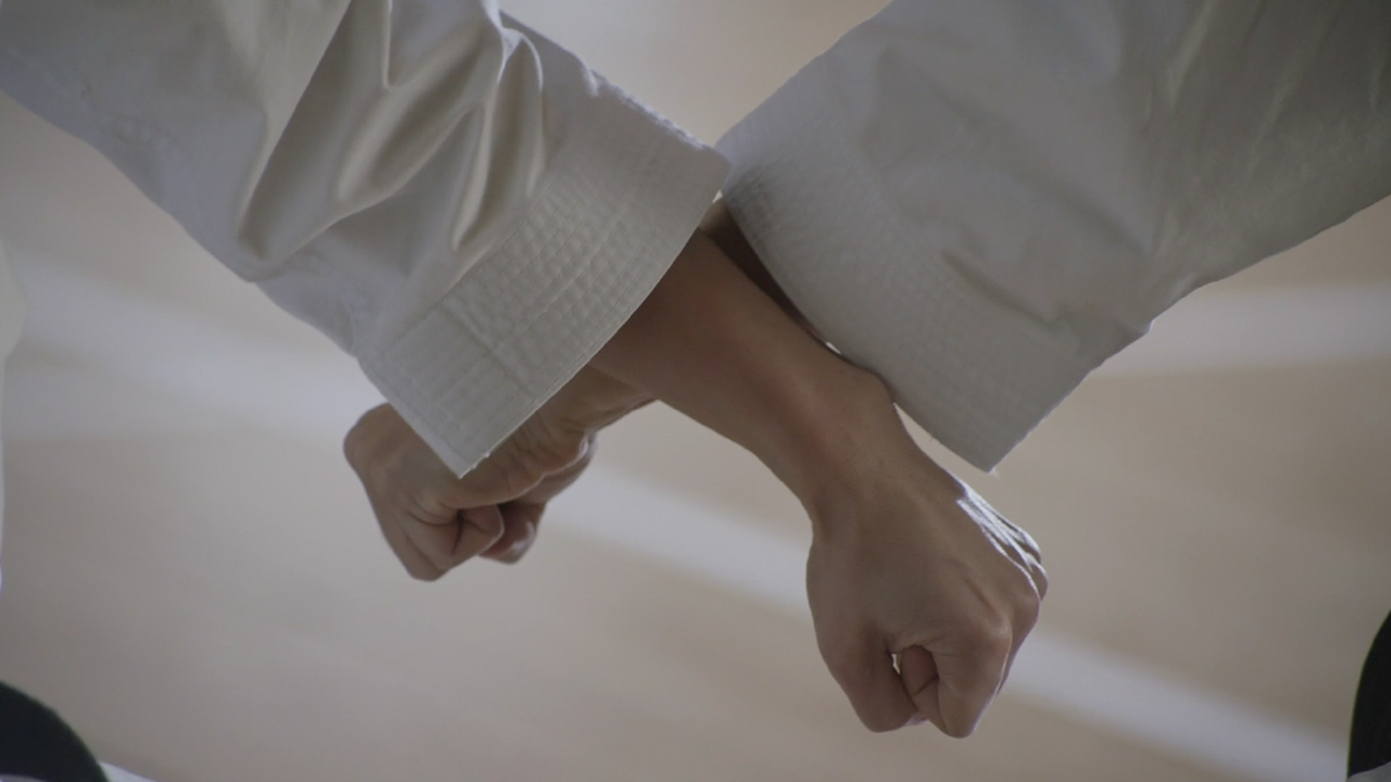 Seito Shito Ryu: una filosofía de vida
